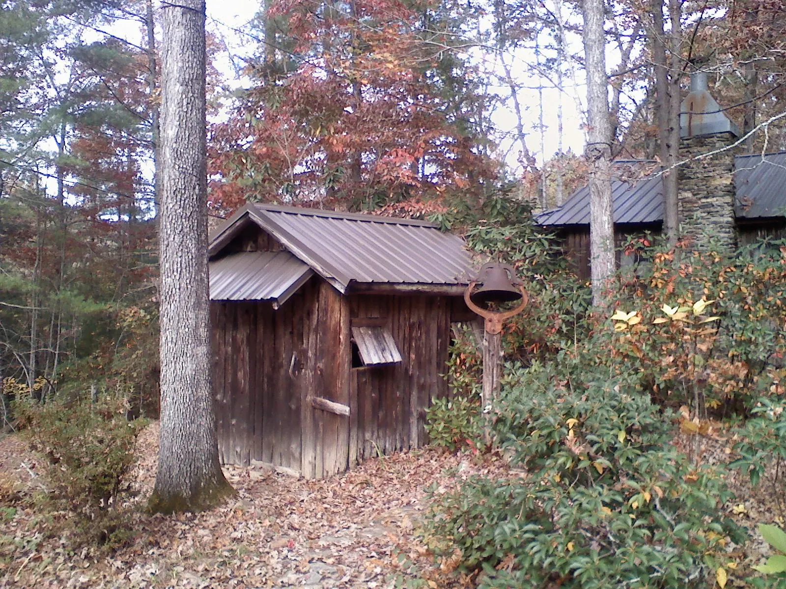 Small metal roof on a rough sawn shed in the woods in Cartersville